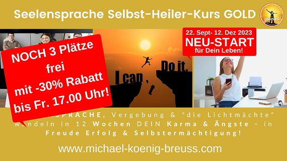 3 Plätze 30% Seelensprache Selbst Heiler Kurs GOLD Sept 2023 570